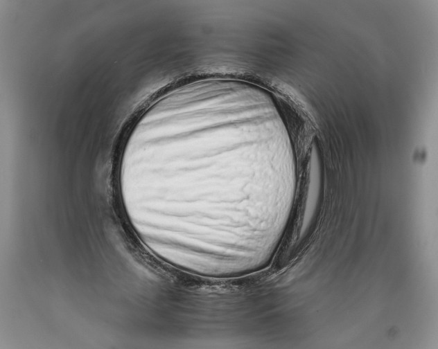 X0000089930627200707271758