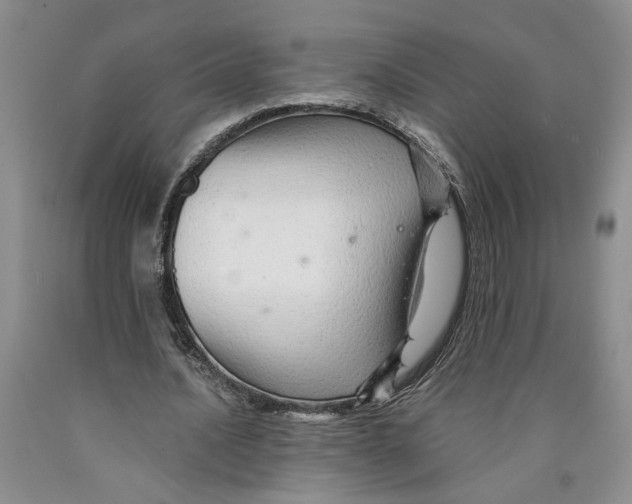 X0000089930628200707271758