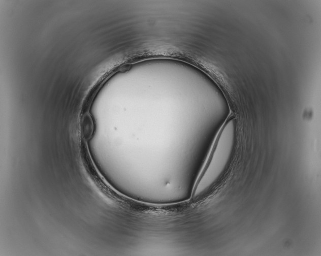 X0000089930630200707271758