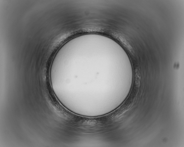 X0000089930631200707271758