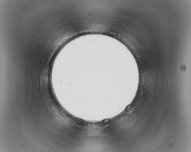 X0000089930632200707271758