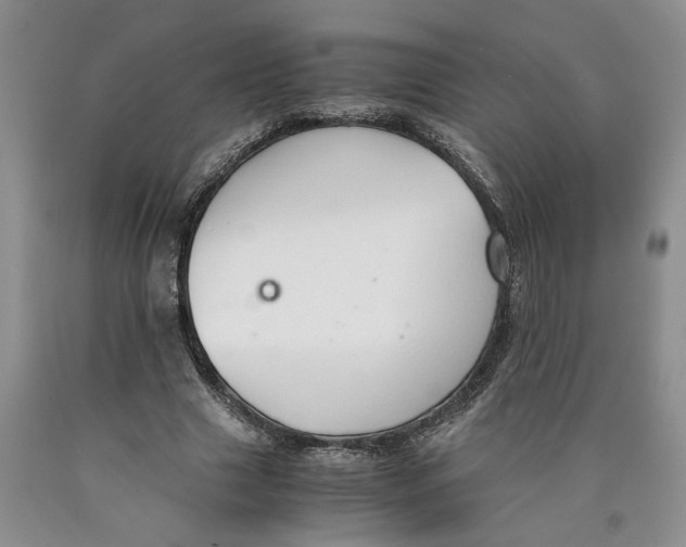 X0000089930633200707271758