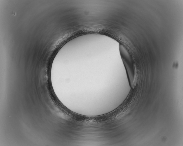 X0000089930634200707271758