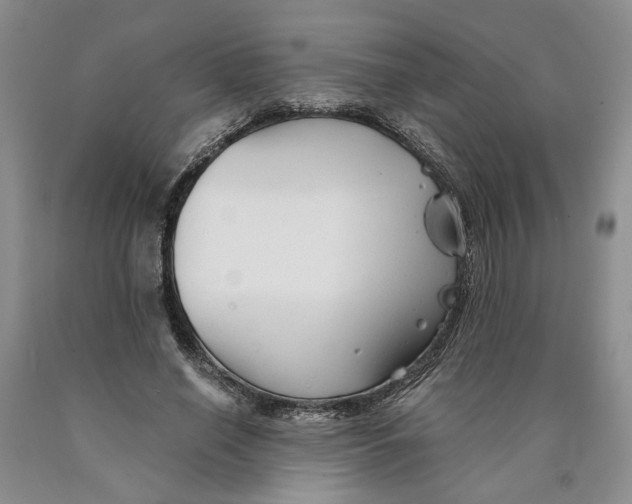 X0000089930638200707271758