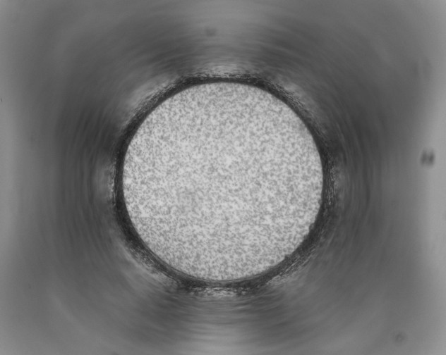 X0000089930640200707271758