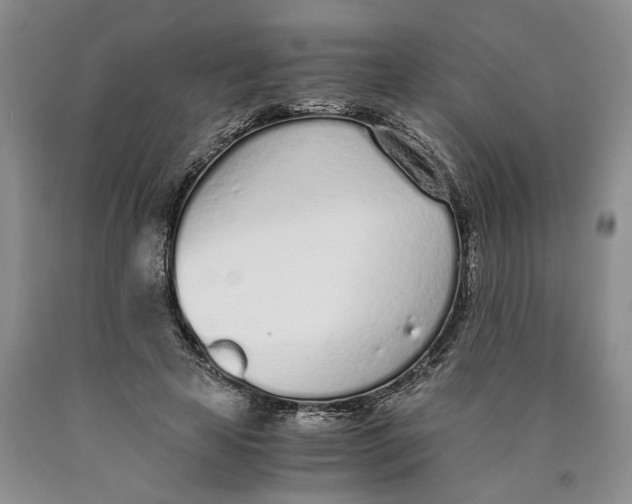 X0000089930641200707271758