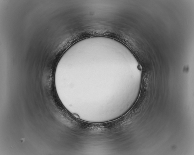 X0000089930642200707271758