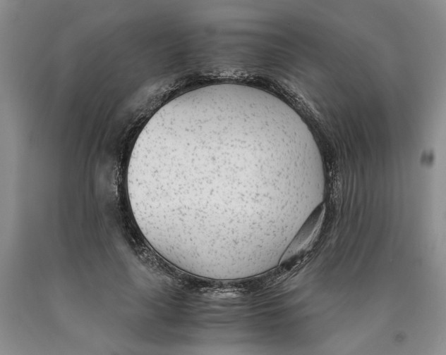 X0000089930643200707271758