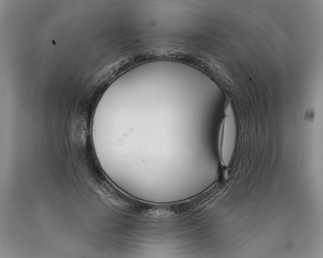 X0000089930644200707271758