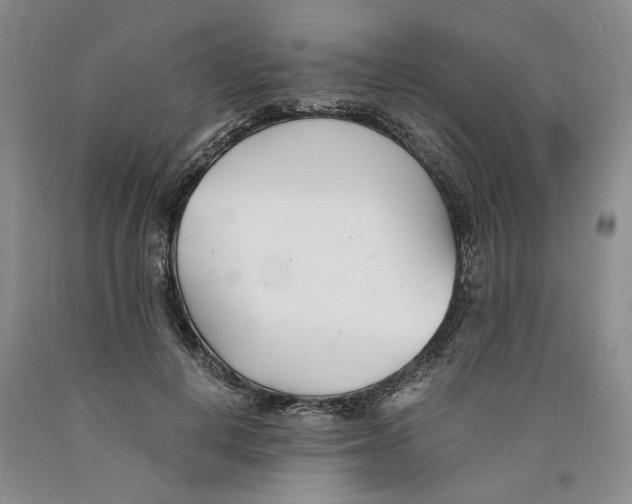 X0000089930648200707271758