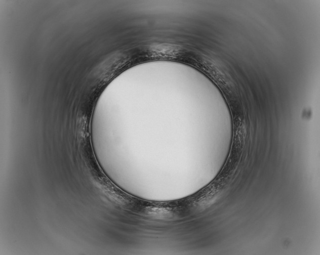 X0000089930649200707271758