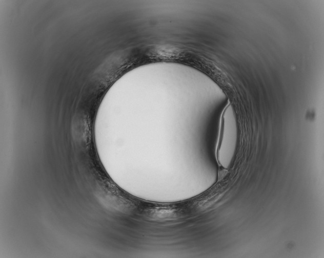 X0000089930651200707271758