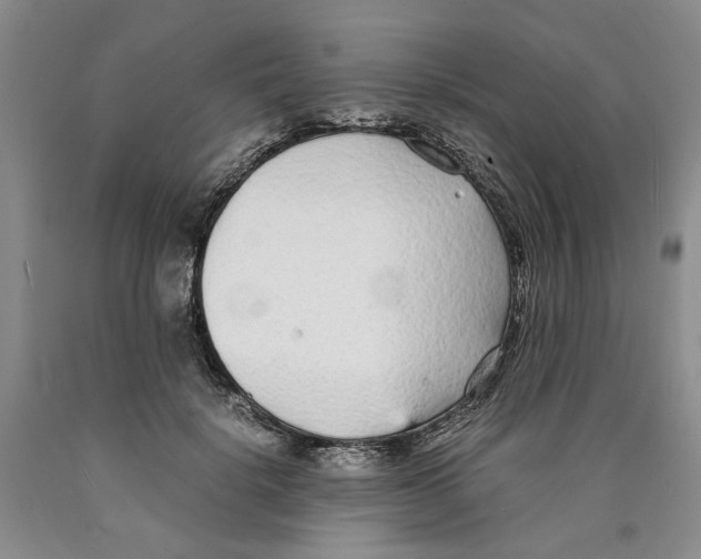 X0000089930652200707271758