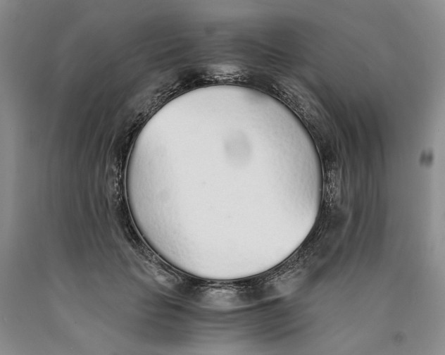 X0000089930653200707271758