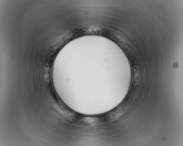 X0000089930654200707271758