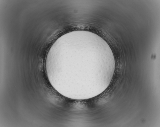 X0000089930656200707271758