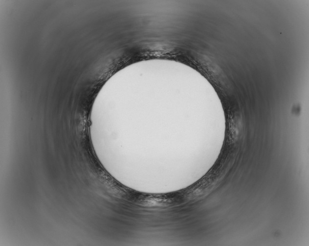 X0000089930657200707271758