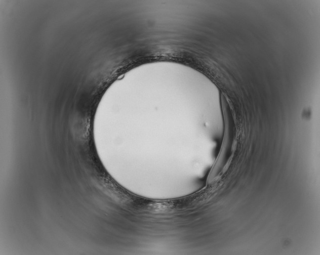 X0000089930660200707271759