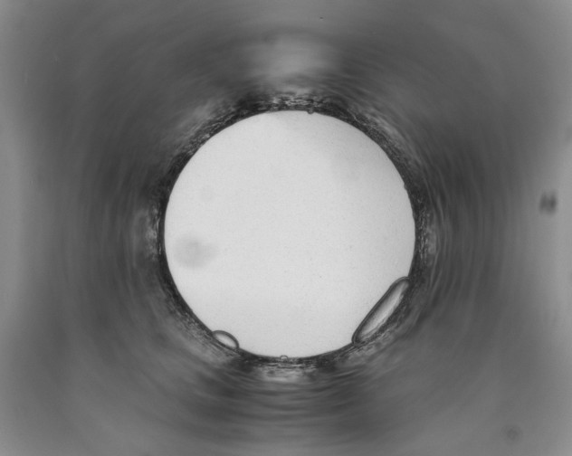 X0000089930661200707271759