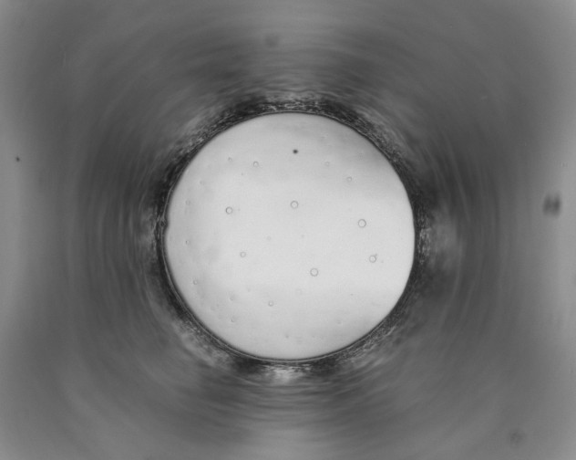 X0000089930662200707271759