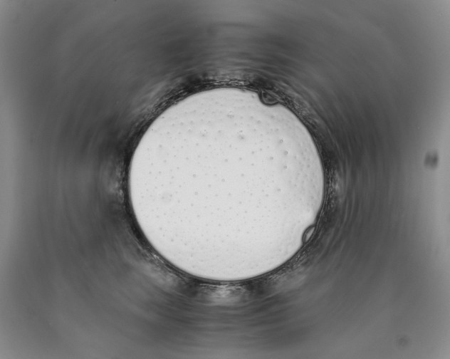 X0000089930663200707271759