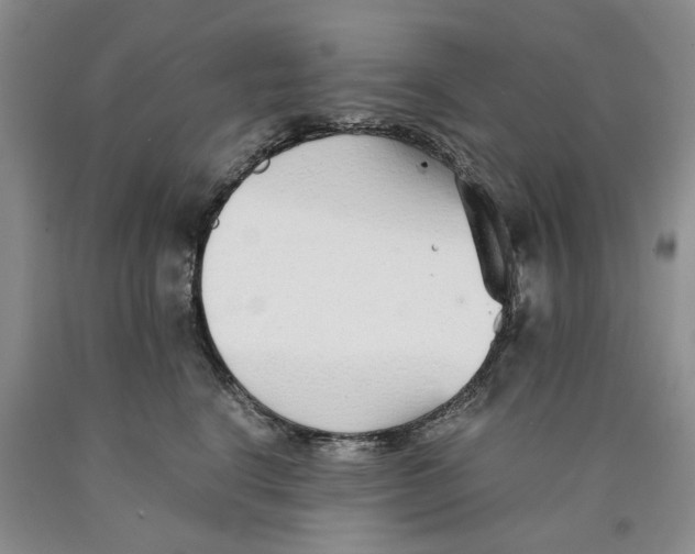 X0000089930664200707271759