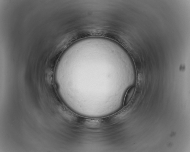 X0000089930671200707271759