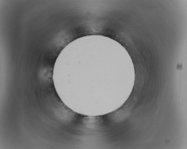 X0000089930672200707271759