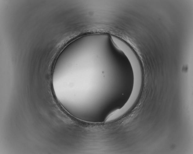 X0000089930673200707271758