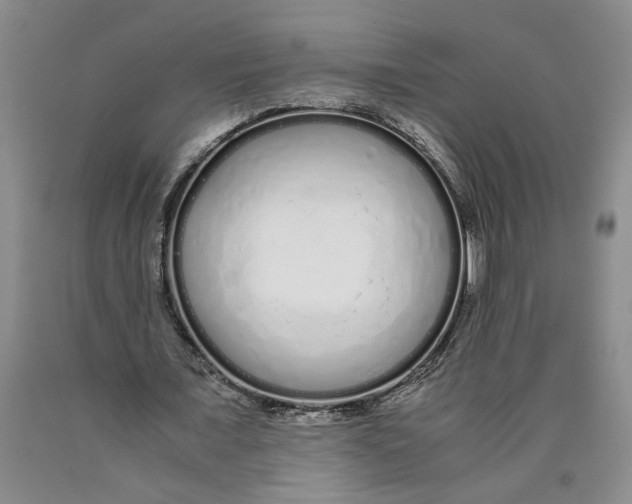 X0000089930675200707271758