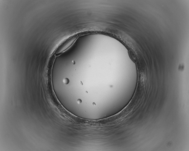 X0000089930676200707271758