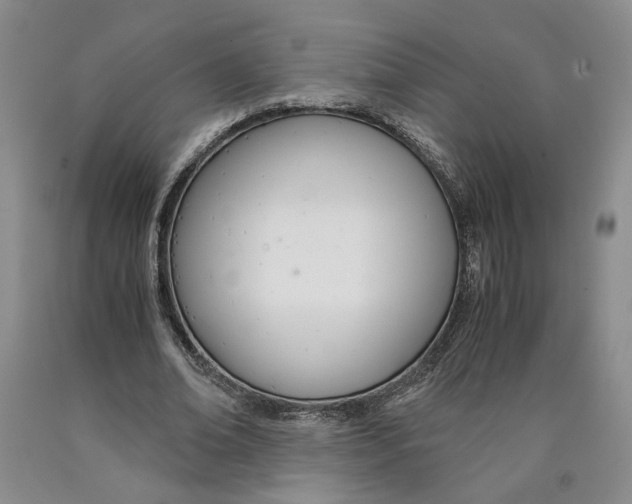 X0000089930678200707271758