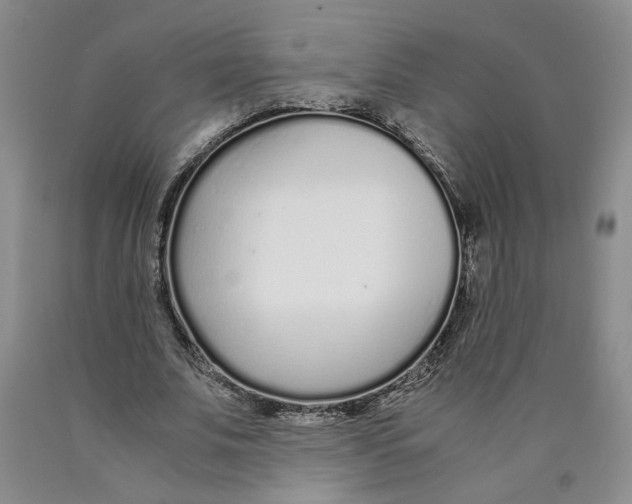 X0000089930679200707271758