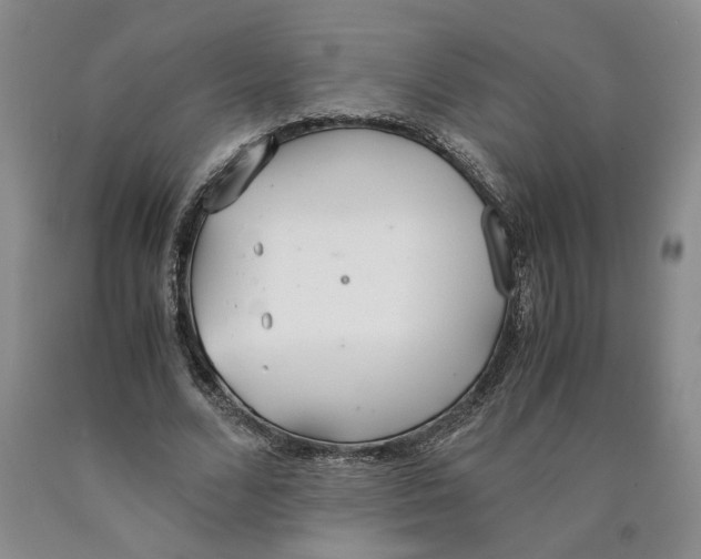 X0000089930680200707271758