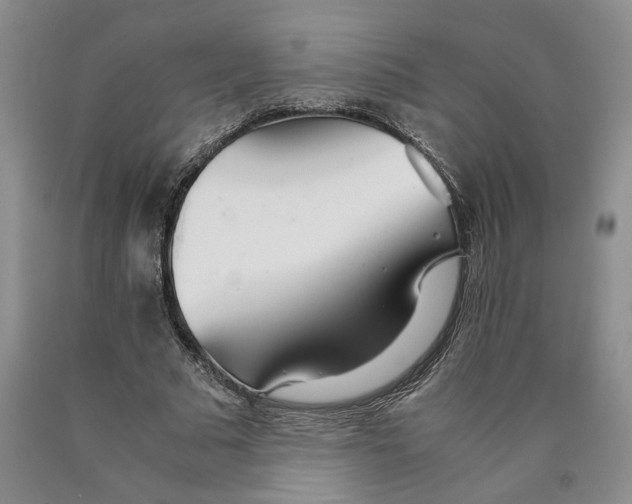 X0000089930681200707271758