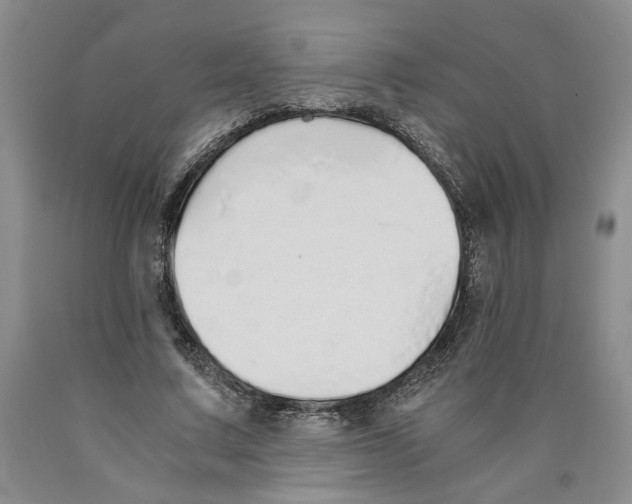 X0000089930683200707271758