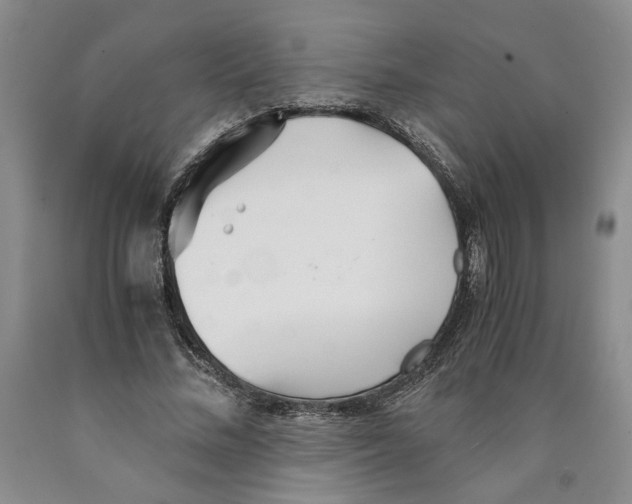 X0000089930684200707271758