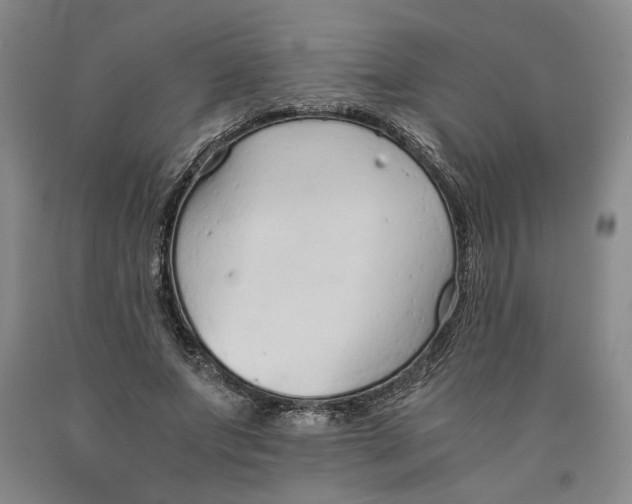 X0000089930687200707271758