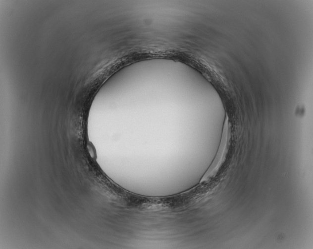 X0000089930689200707271758