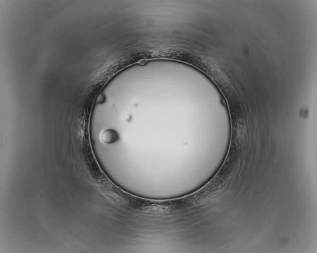 X0000089930691200707271758