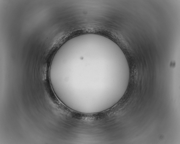 X0000089930694200707271758