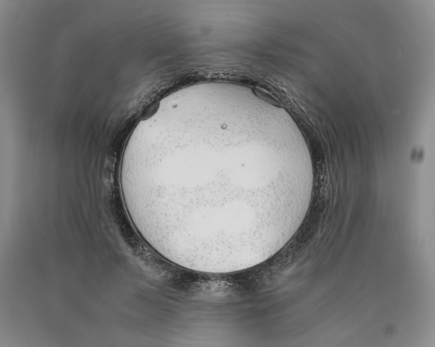 X0000089930695200707271758