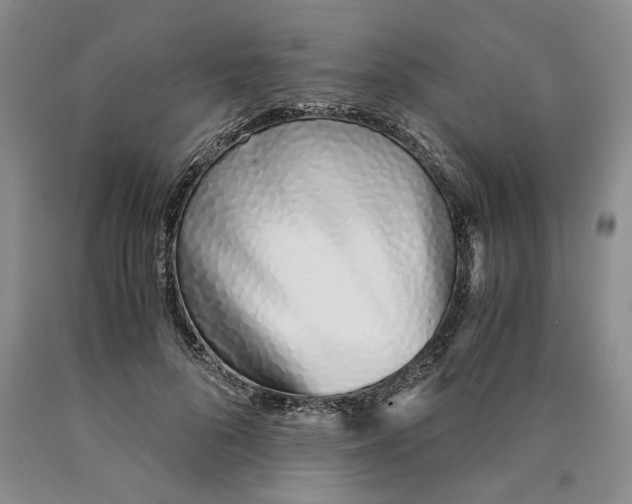 X0000089930696200707271758