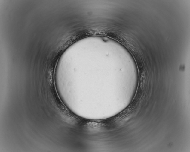 X0000089930699200707271758