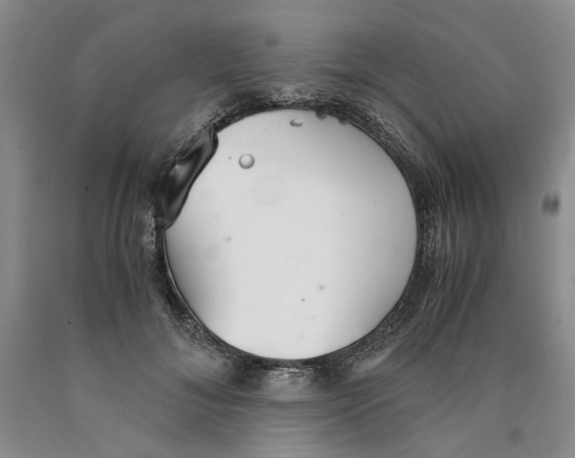 X0000089930700200707271758