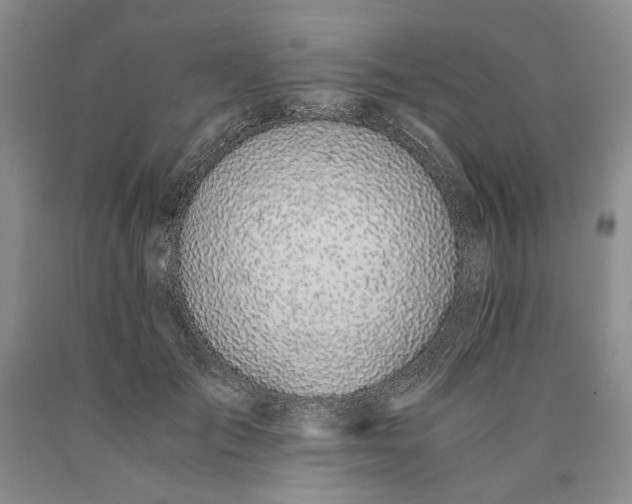 X0000089930701200707271758