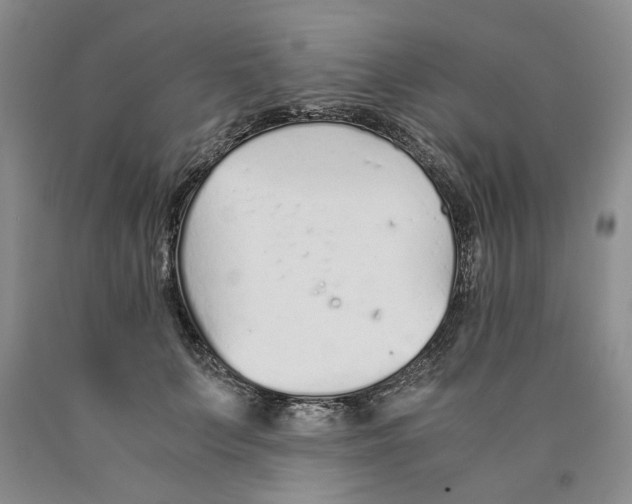 X0000089930703200707271758