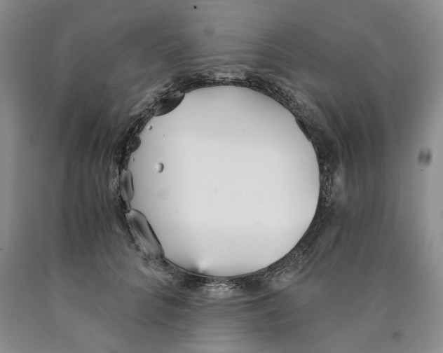 X0000089930704200707271758