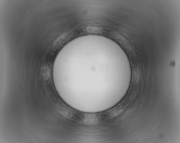 X0000089930705200707271757