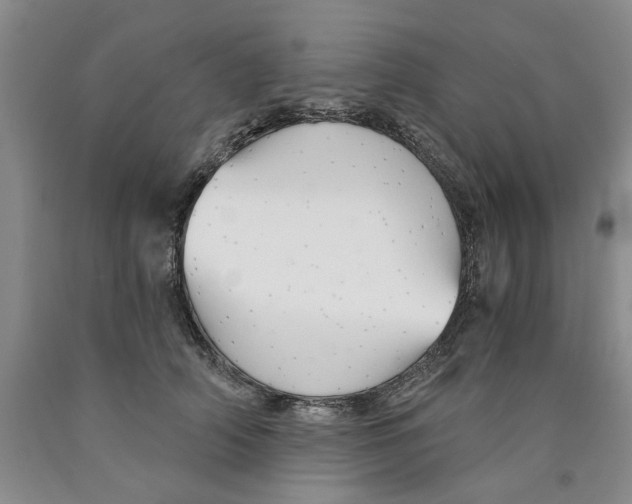 X0000089930706200707271757